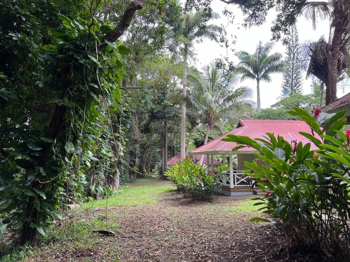 Evasion Bungalow Tropical Spa Sarraméa Exterior foto